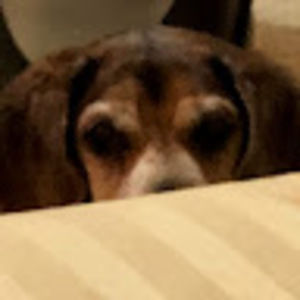 Meet your Posher, Charlyn